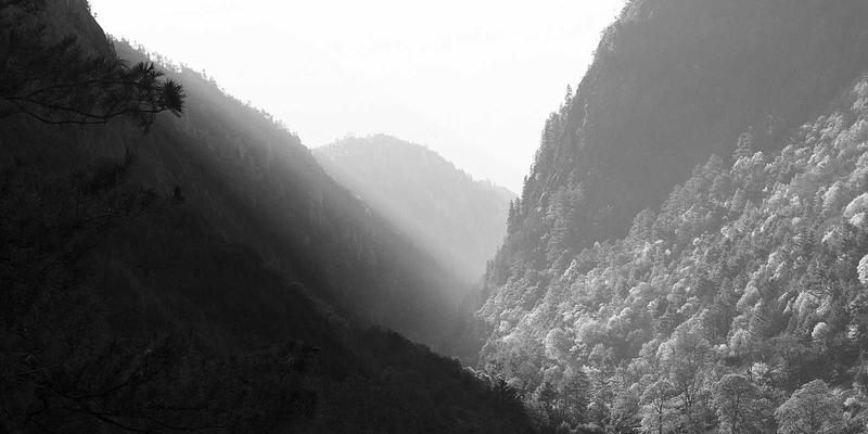 2023年综合导航网站设计趋势：从资源导航到智能信息聚合的演进