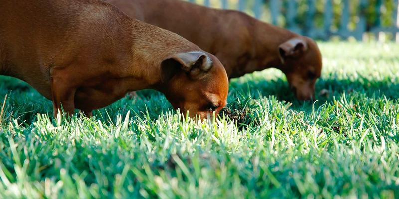 实用工具与综合导航平台：内容聚合的价值与版权风险防范指南