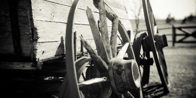 实用工具赋能：如何通过网站目录与信息聚合策略高效管理多媒体资源库