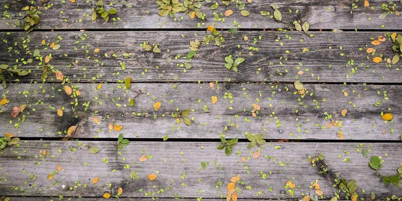 构建高效知识体系：综合导航与实用工具如何重塑个人知识管理（PKM）