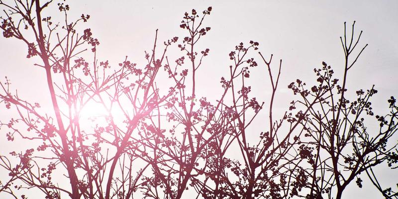 科研项目管理一体化平台：如何通过综合导航与信息聚合统筹文献、设备与协作资源