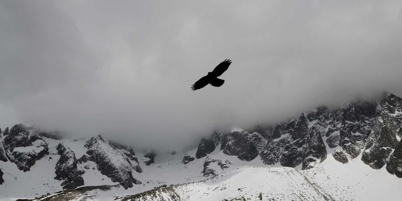 综合导航100：网站目录、信息聚合与实用工具的融合进化