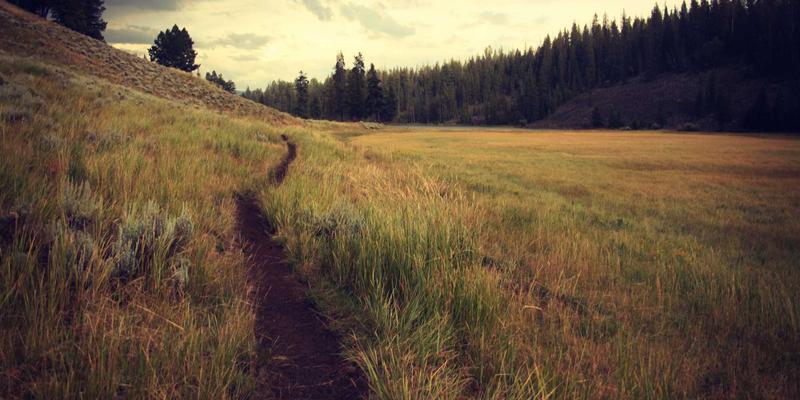 综合导航32：一站式实用工具与网站目录的终极指南