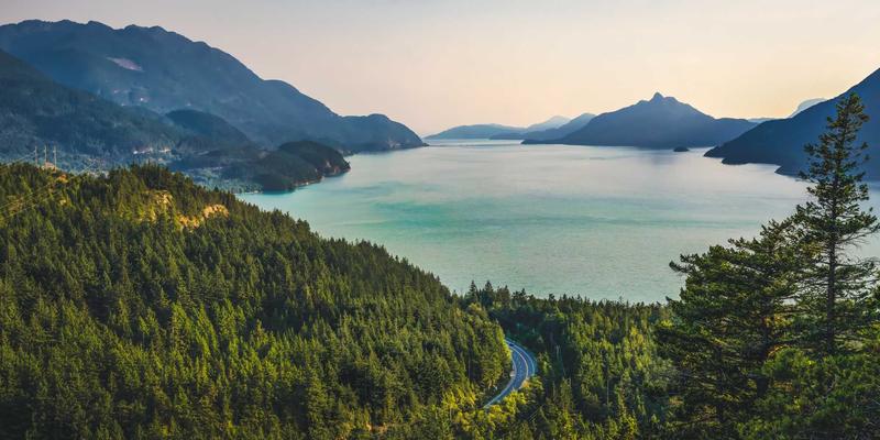 综合导航与实用工具：金融科技平台如何通过优化网站目录助力投资者高效决策