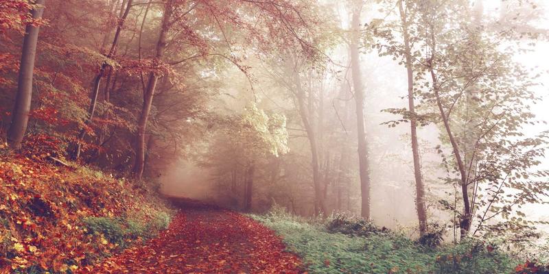 综合导航入门:掌握实用工具与资源聚合,高效管理数字生活