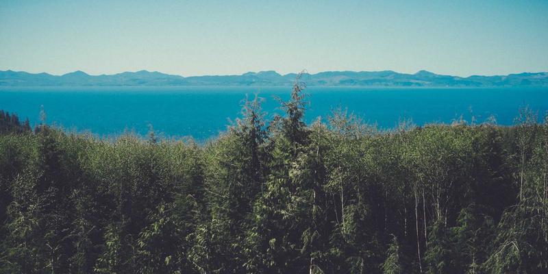 跨境电商独立站出海指南：如何利用信息聚合与网站目录工具整合全球资源